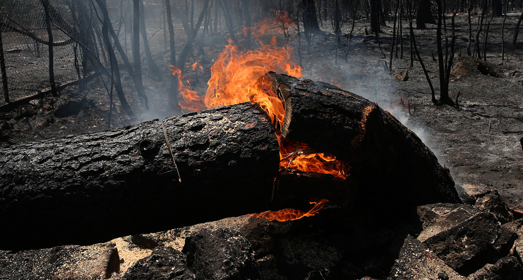 Niveau gouvernemental à Evros – À partir d’aujourd’hui, les demandes d’indemnisation des victimes des incendies de la municipalité d’Alexandroupoli sont disponibles