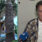 Καθημερινες εξελιξεις στην Ελλαδα